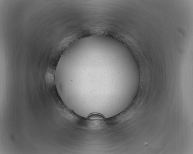 X0000115260432200911131750