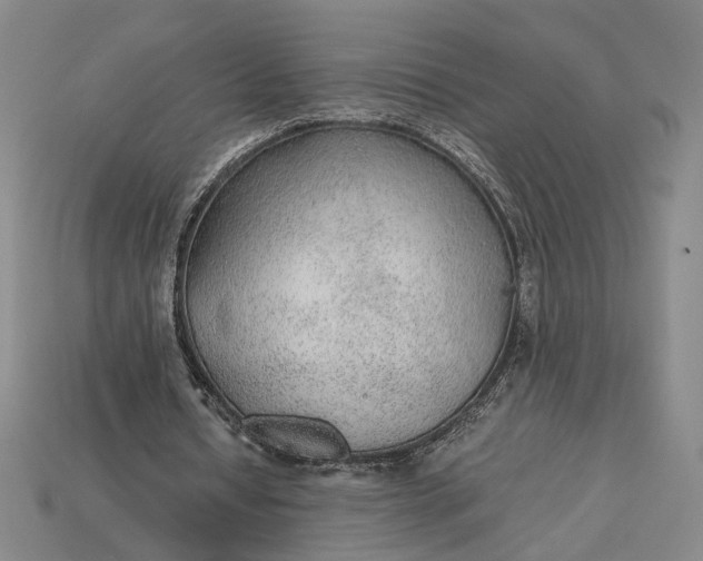 X0000115260434200911131749