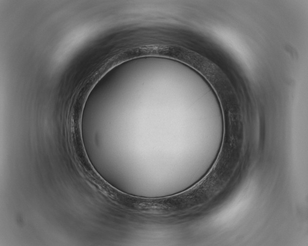 X0000115260435200911131749