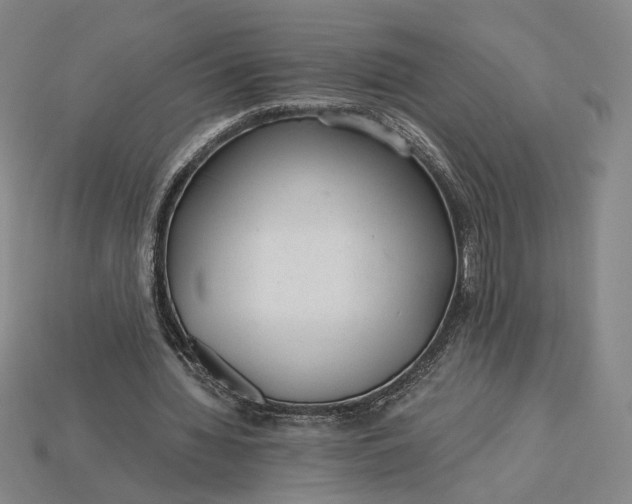 X0000115260436200911131749