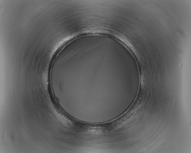 X0000115260438200911131749