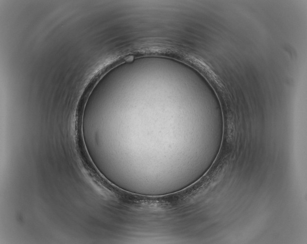 X0000115260439200911131749