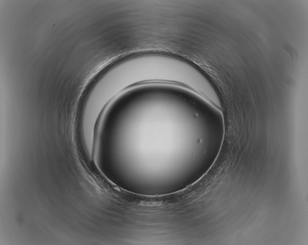 X0000115260440200911131749