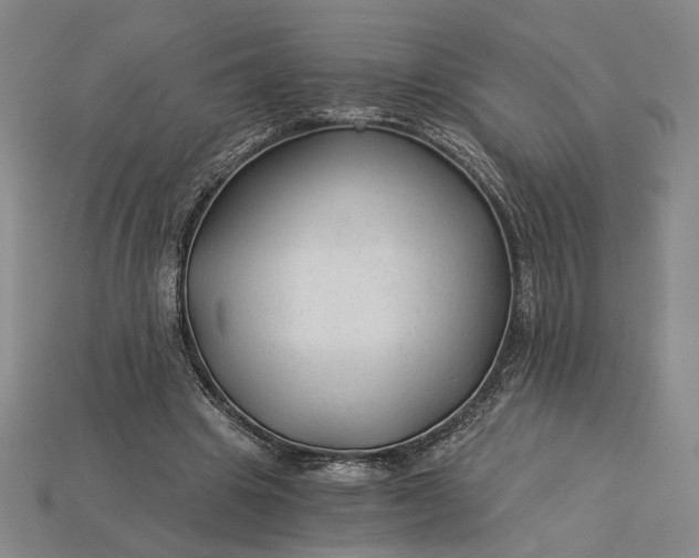 X0000115260441200911131749