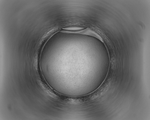 X0000115260442200911131749