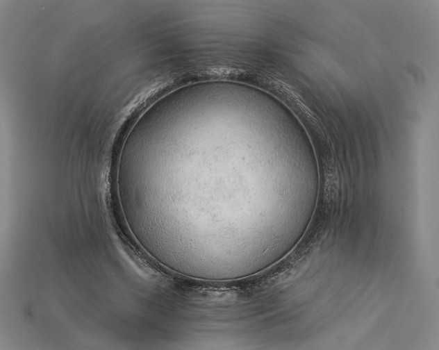 X0000115260443200911131749