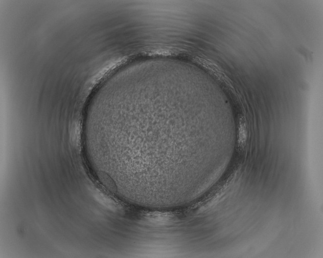 X0000115260444200911131750
