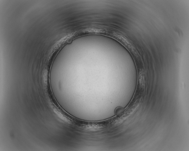 X0000115260445200911131750
