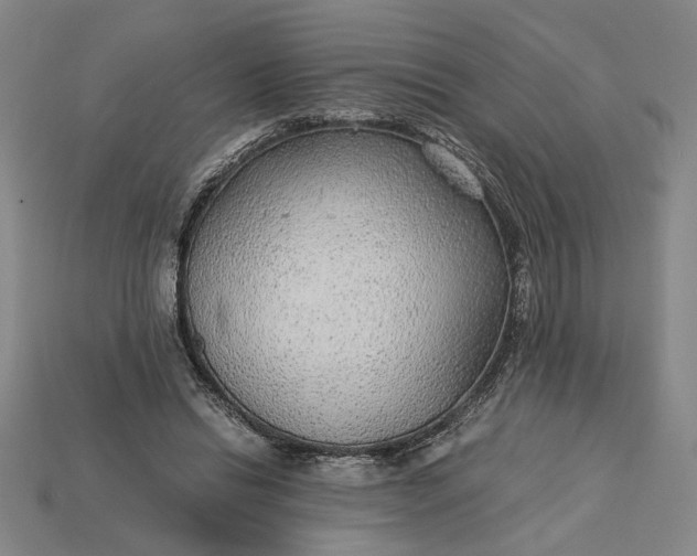 X0000115260446200911131750