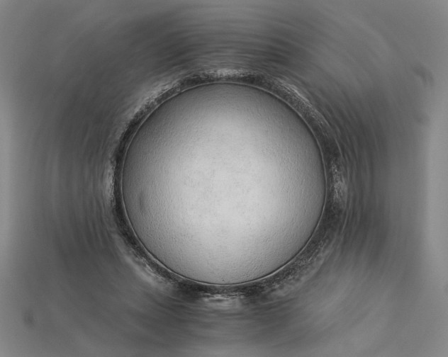 X0000115260447200911131750
