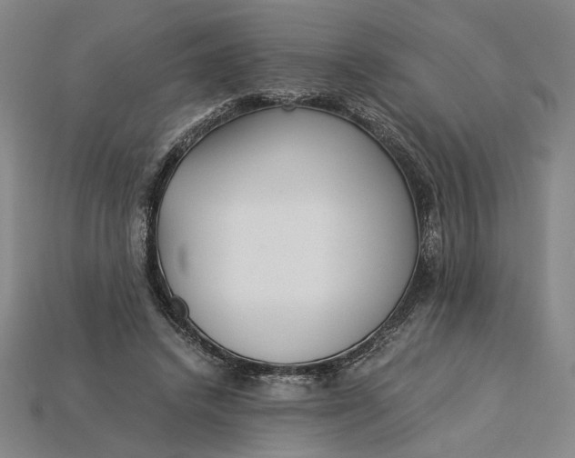 X0000115260448200911131750