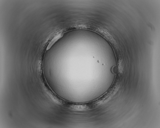 X0000115260449200911131750