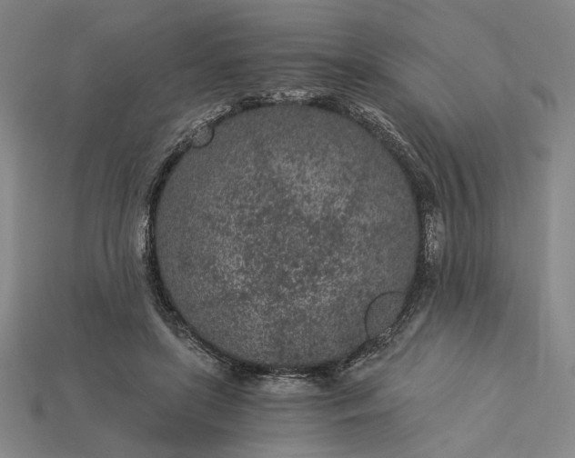X0000115260451200911131750