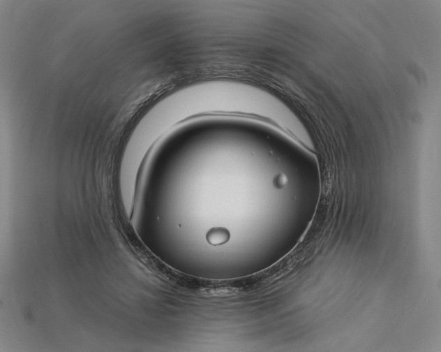 X0000115260452200911131750