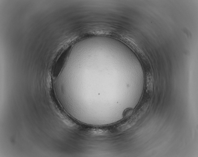 X0000115260453200911131750