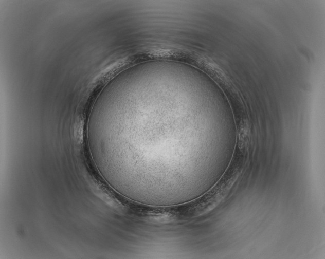 X0000115260454200911131750
