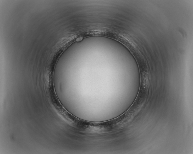 X0000115260455200911131750