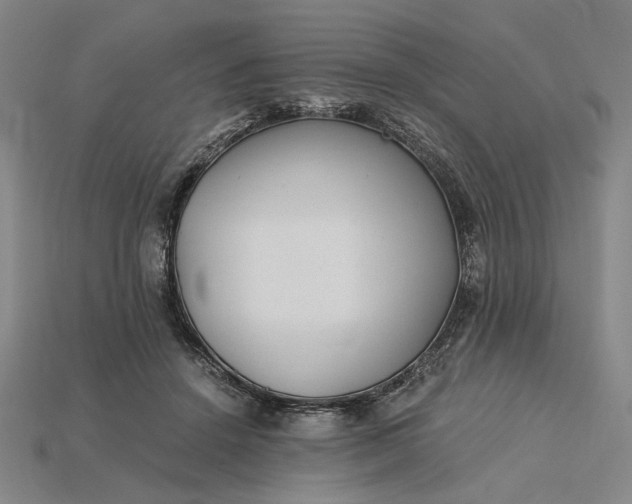 X0000115260456200911131750