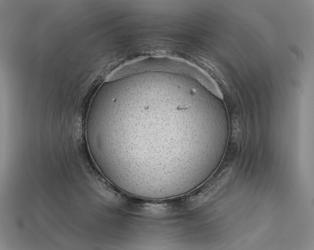 X0000115260457200911131750