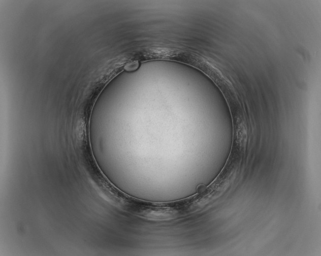 X0000115260459200911131750