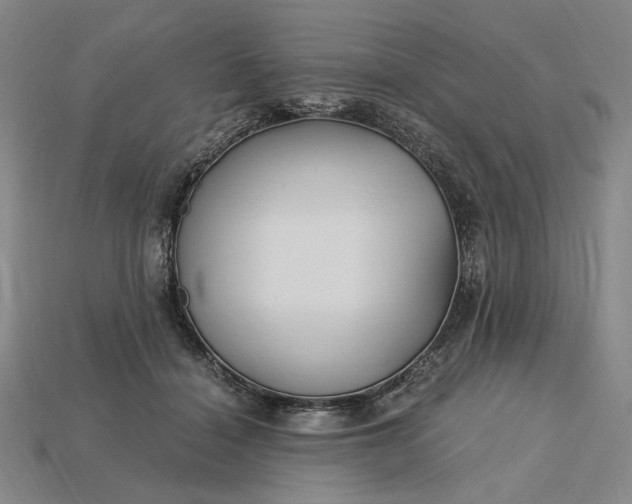 X0000115260460200911131750