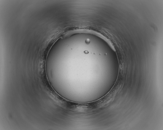 X0000115260462200911131750