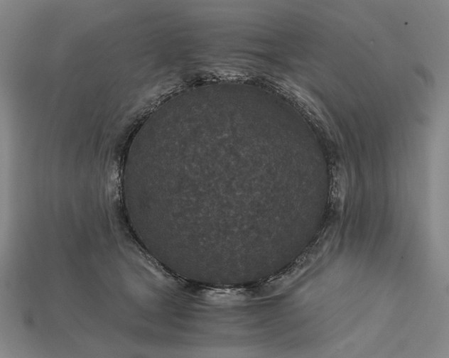 X0000115260465200911131750