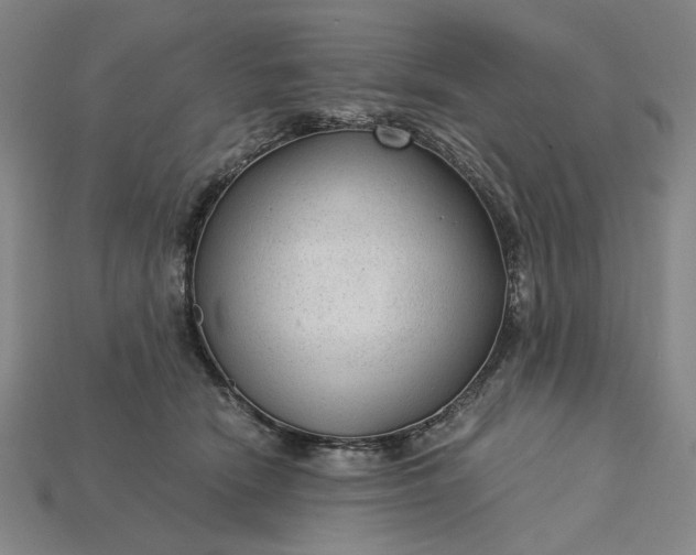 X0000115260466200911131750