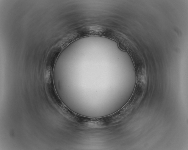 X0000115260468200911131750