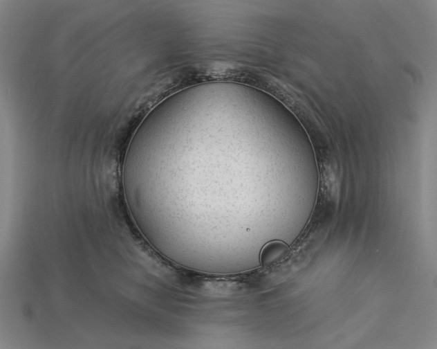 X0000115260470200911131750