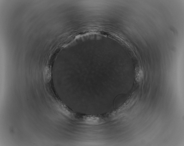 X0000115260471200911131750