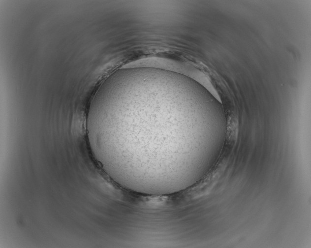 X0000115260474200911131750