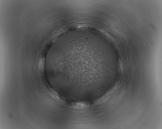 X0000115260475200911131750