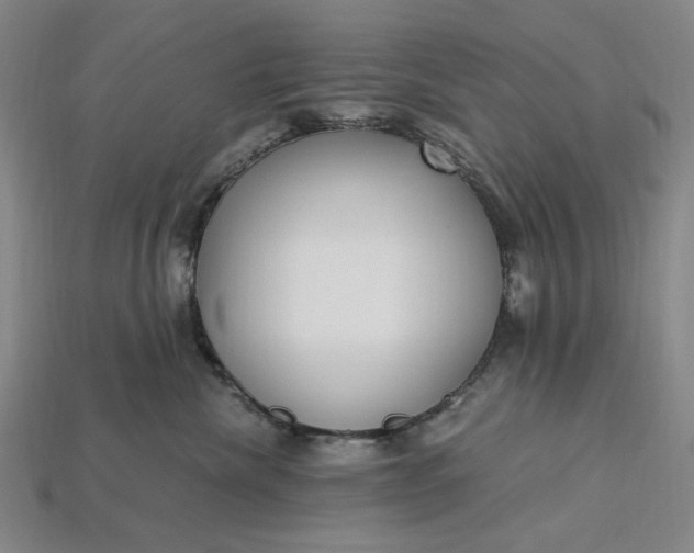 X0000115260476200911131750