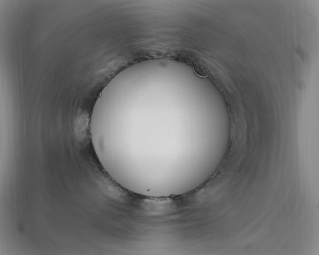 X0000115260480200911131750