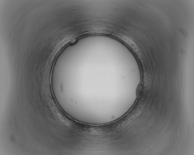 X0000115260481200911131749