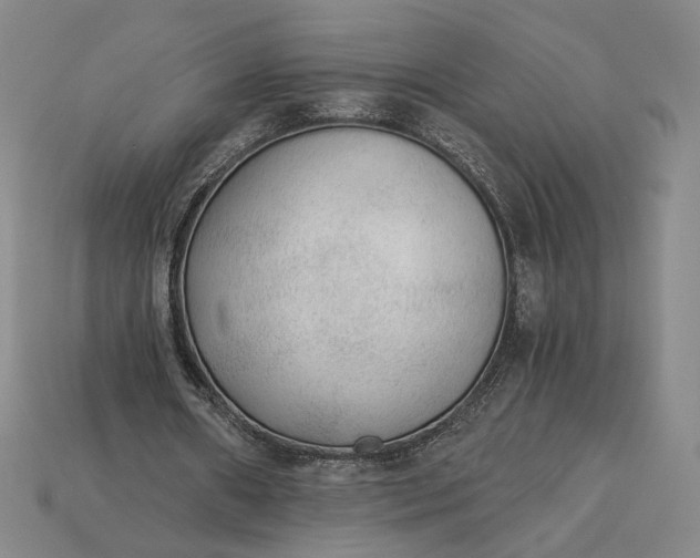 X0000115260482200911131749