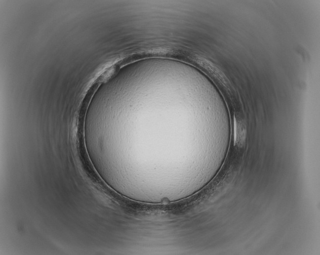 X0000115260483200911131749
