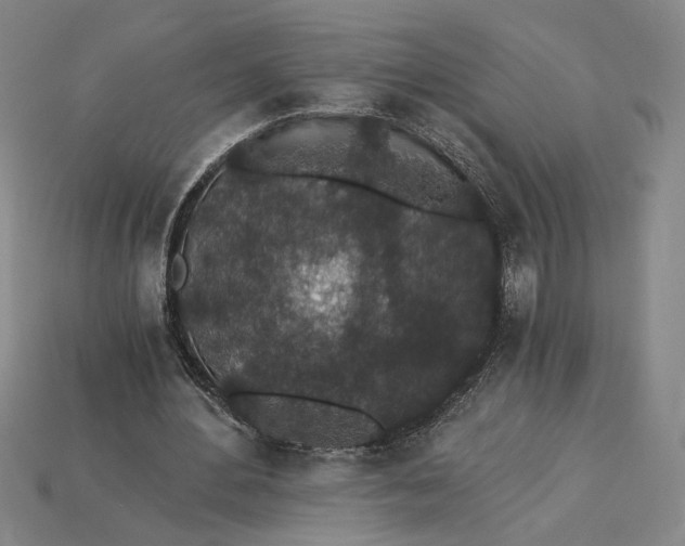 X0000115260484200911131749