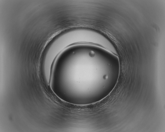 X0000115260488200911131749