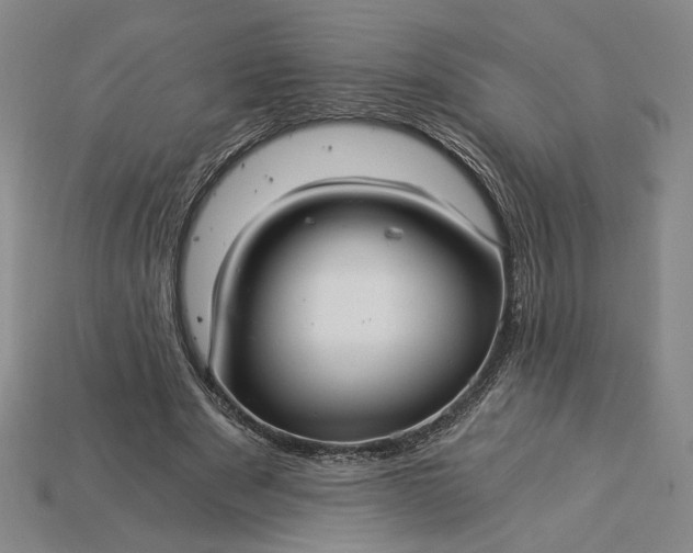 X0000115260489200911131749