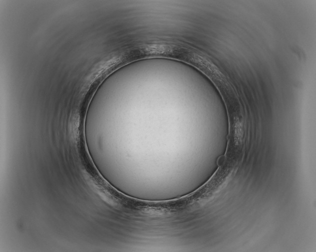 X0000115260490200911131749
