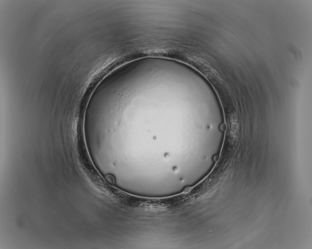 X0000115260491200911131749