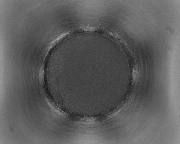 X0000115260492200911131749