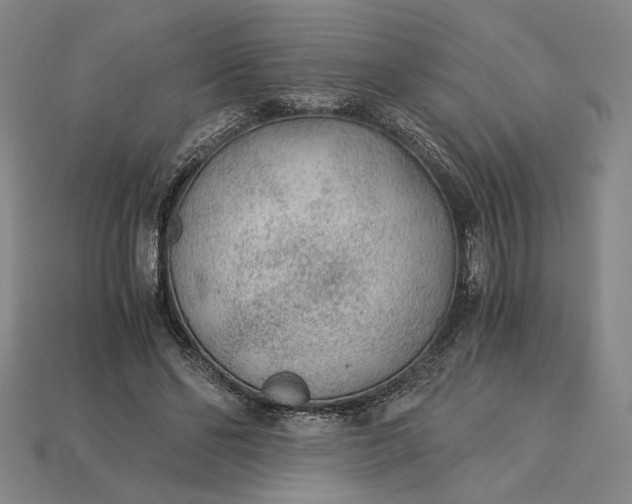 X0000115260494200911131749