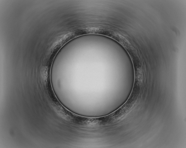 X0000115260495200911131749