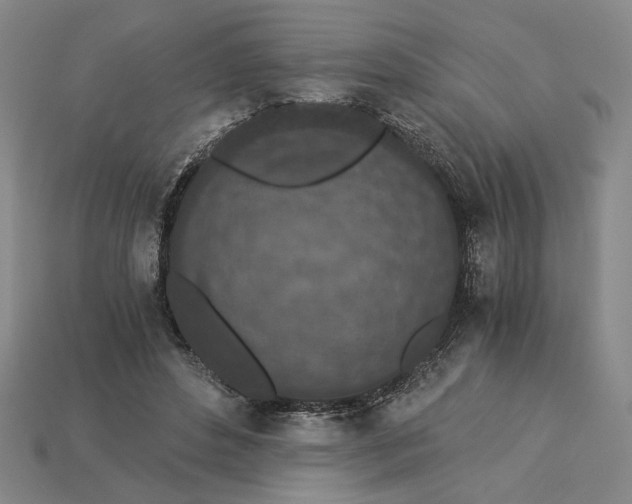 X0000115260496200911131749