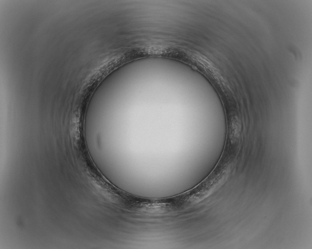 X0000115260497200911131749