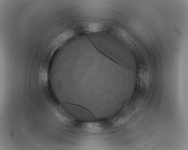 X0000115260500200911131749