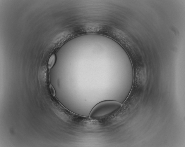 X0000115260501200911131749